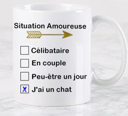 Mug "Situation Amoureuse"